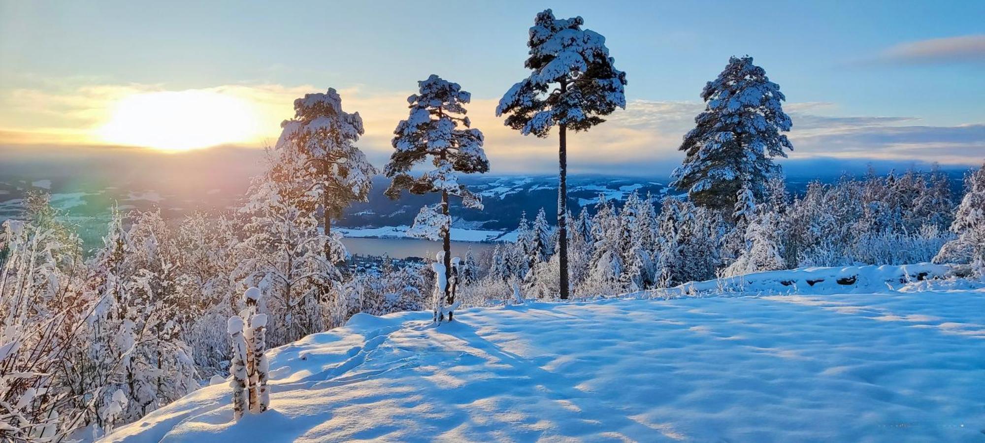 リレハンメルNordgards Hagenアパートメント エクステリア 写真